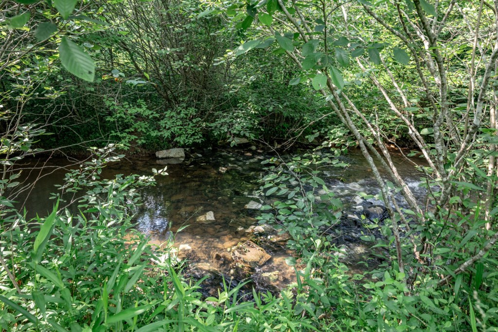Lot 10 Raper Mill Creek Property Photo 26