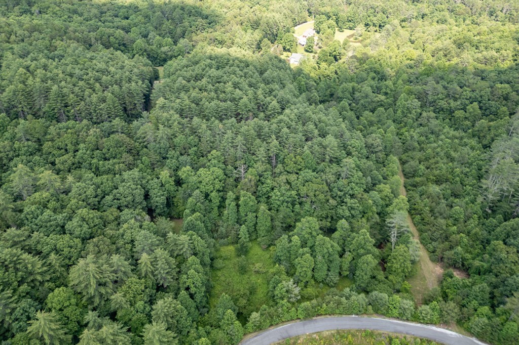 Lot 10 Raper Mill Creek Property Photo 28