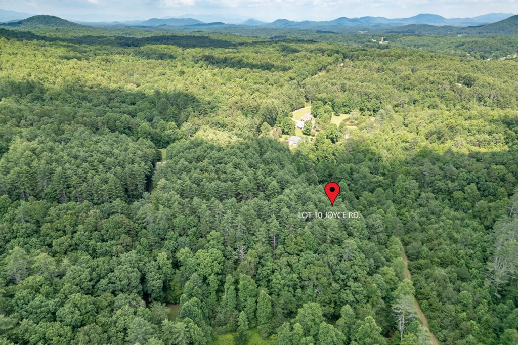 Lot 10 Raper Mill Creek Property Photo 29