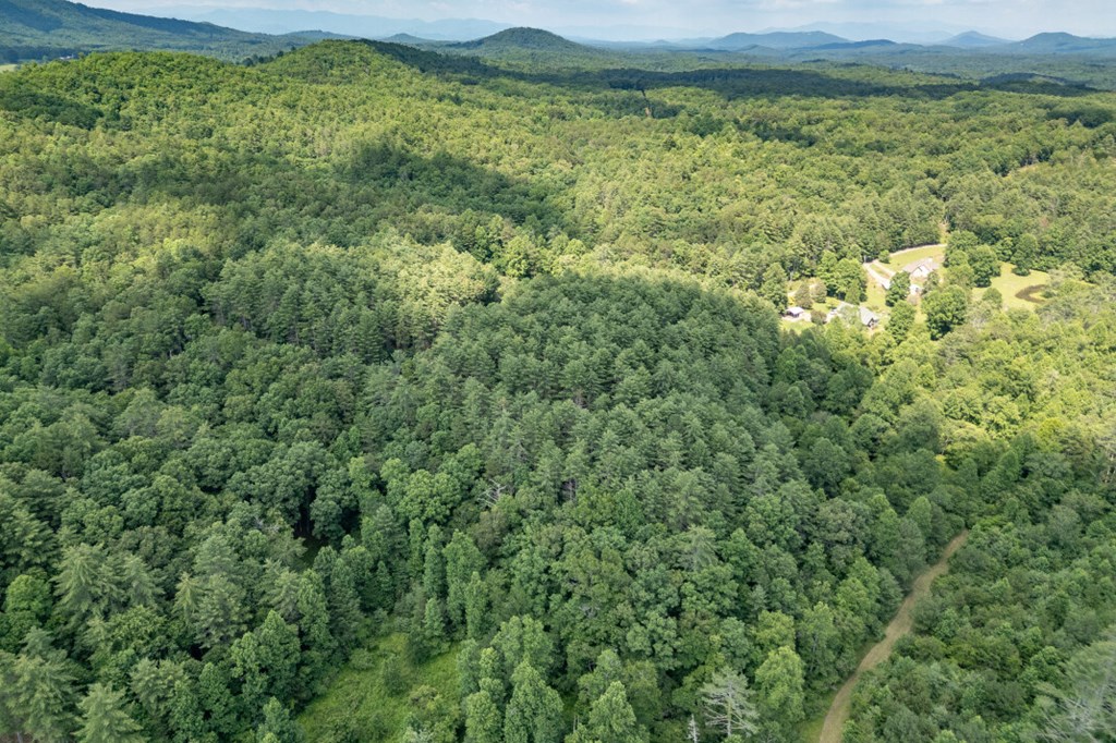 Lot 10 Raper Mill Creek Property Photo 30
