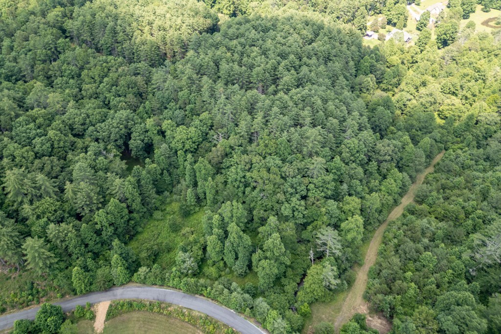 Lot 10 Raper Mill Creek Property Photo 31
