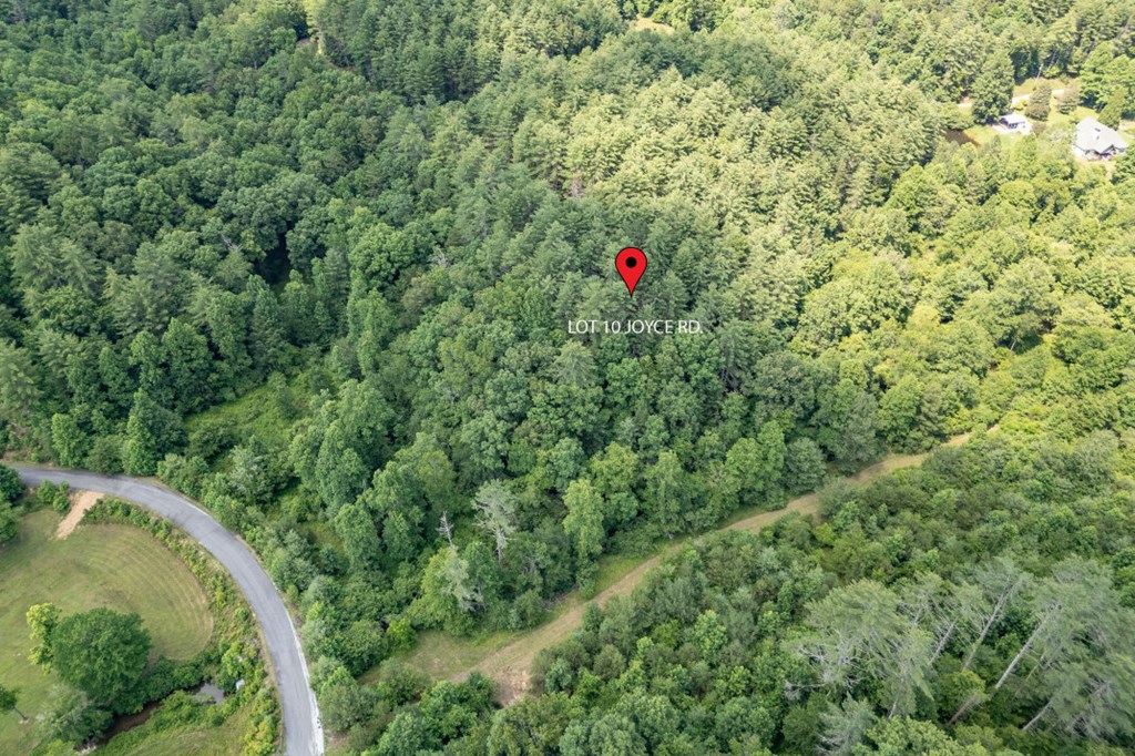 Lot 10 Raper Mill Creek Property Photo 32