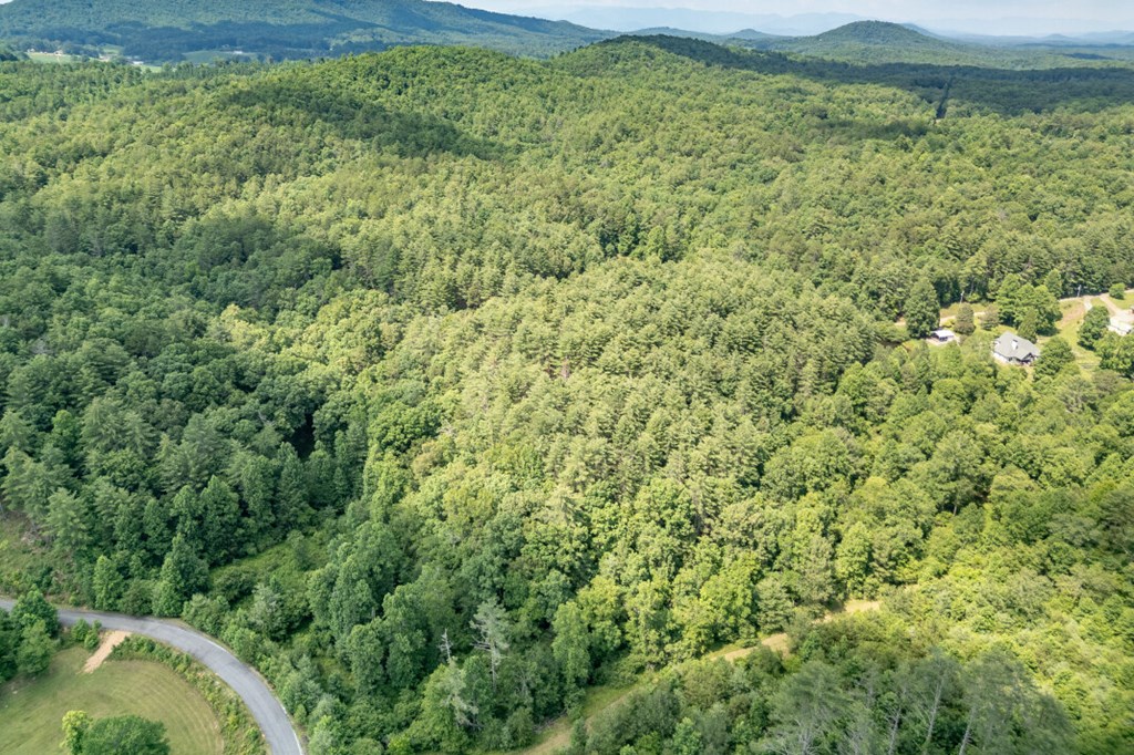 Lot 10 Raper Mill Creek Property Photo 33