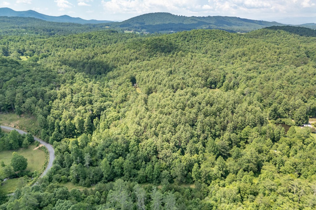 Lot 10 Raper Mill Creek Property Photo 34
