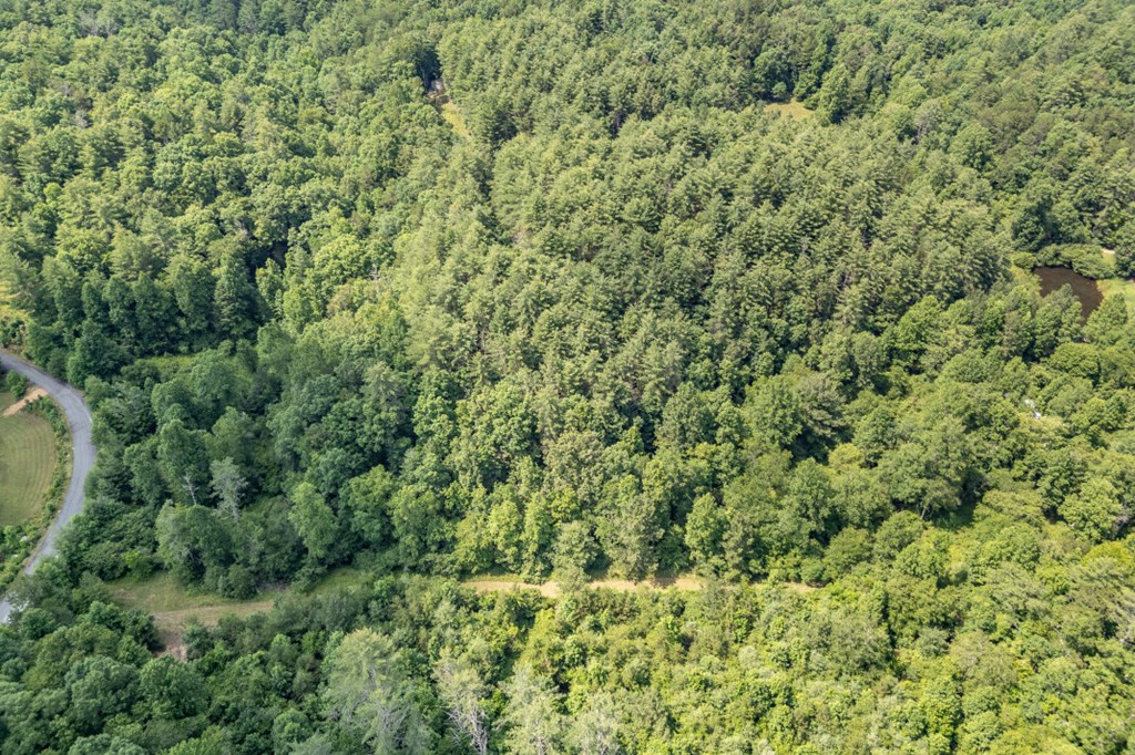 Lot 10 Raper Mill Creek Property Photo 35