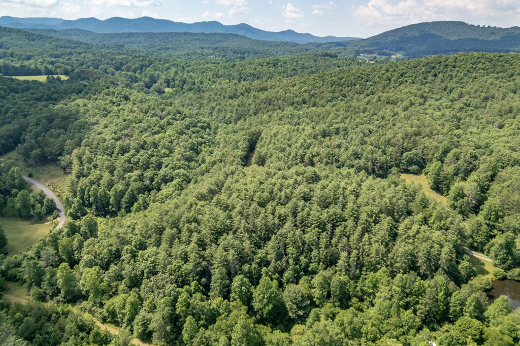 Lot 10 Raper Mill Creek Property Photo 37