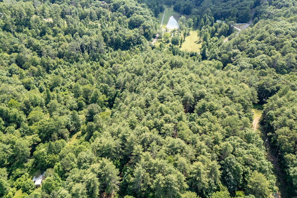 Lot 10 Raper Mill Creek Property Photo 42