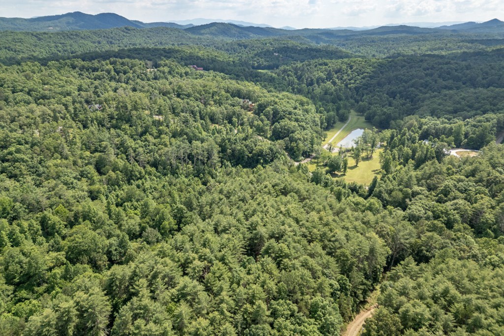 Lot 10 Raper Mill Creek Property Photo 43