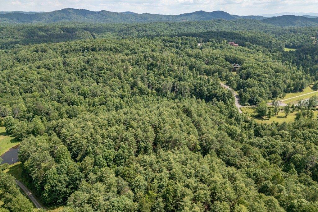 Lot 10 Raper Mill Creek Property Photo 44