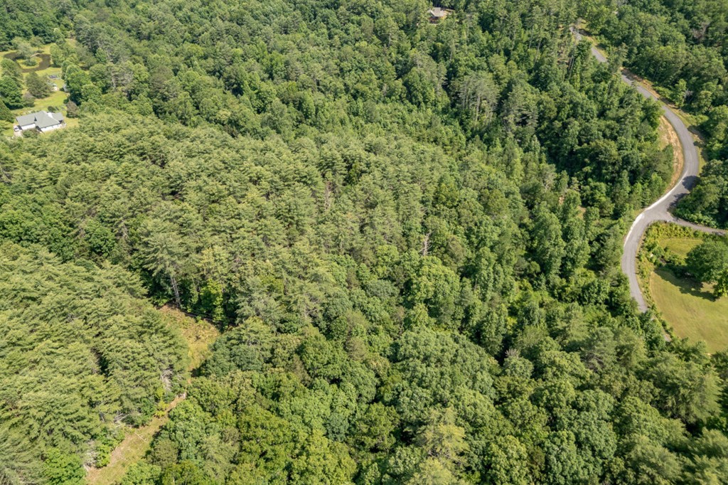 Lot 10 Raper Mill Creek Property Photo 46