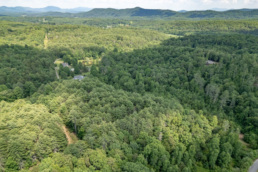 Lot 10 Raper Mill Creek Property Photo 49