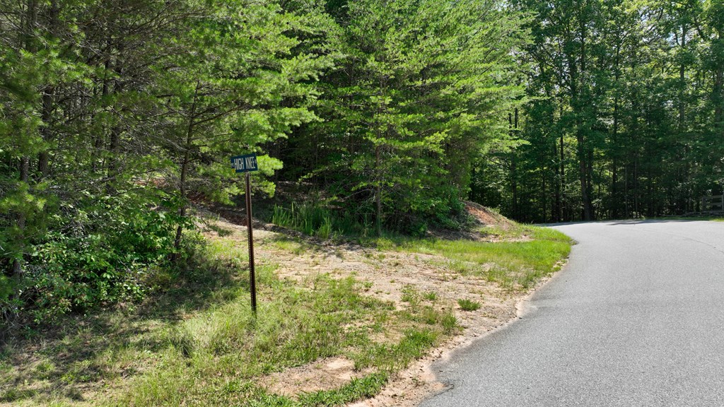 Lot 1 High Knee Road Property Photo 2