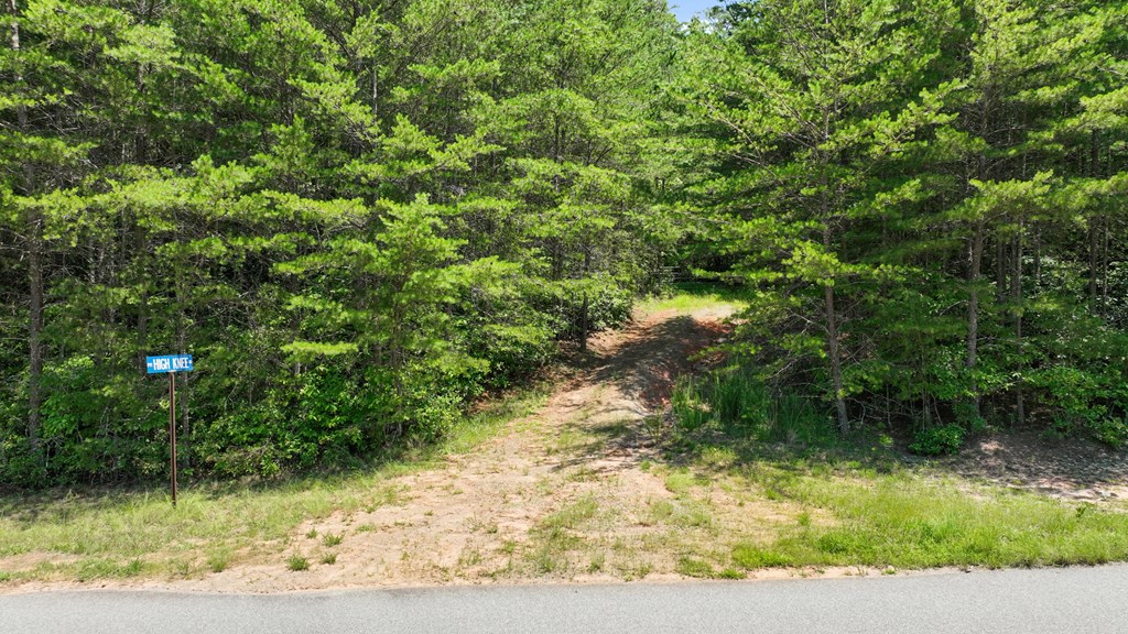Lot 1 High Knee Road Property Photo 3