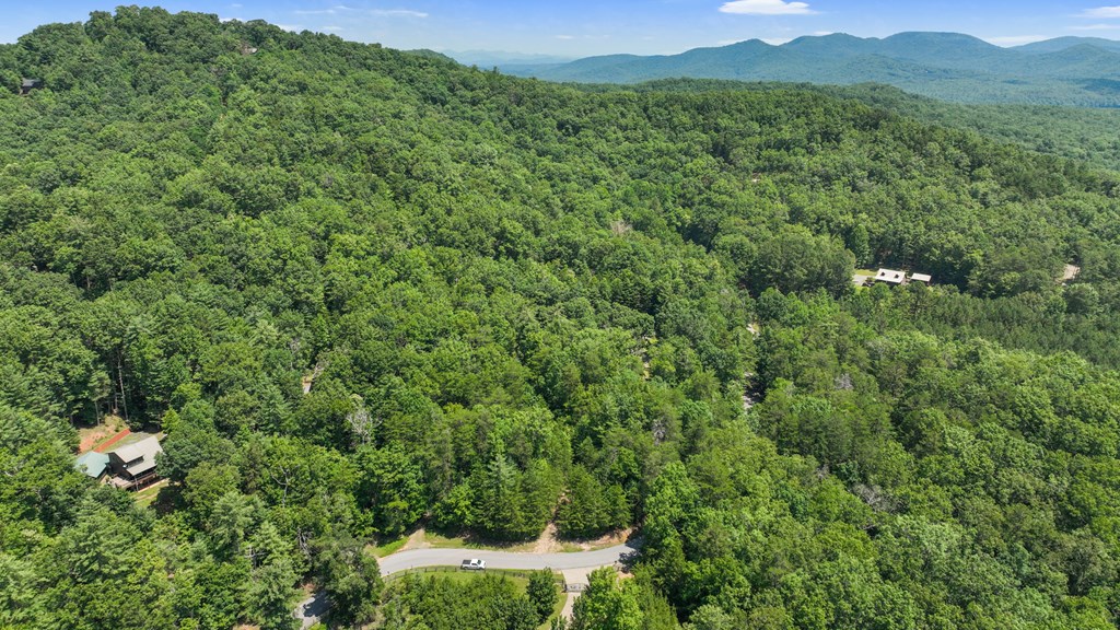 Lot 1 High Knee Road Property Photo 4