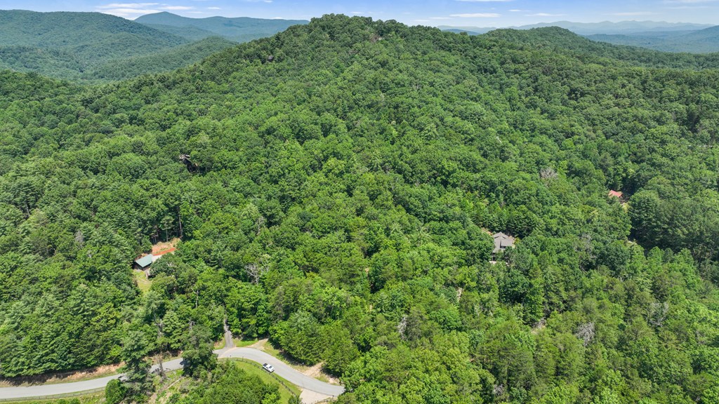 Lot 1 High Knee Road Property Photo 5