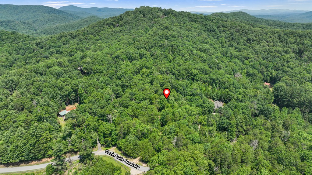 Lot 1 High Knee Road Property Photo 6
