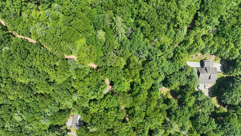 Lot 1 High Knee Road Property Photo 9