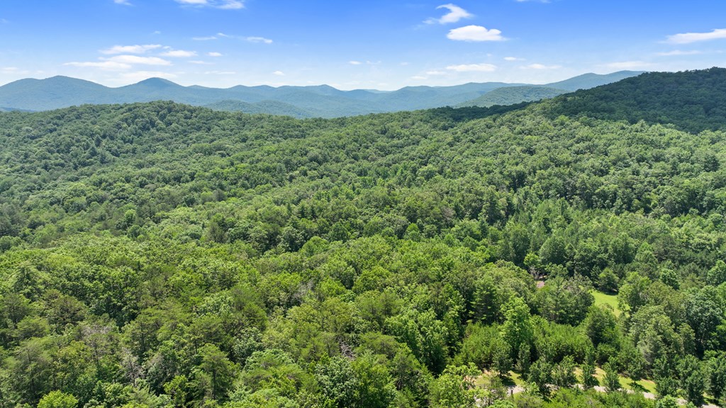 Lot 1 High Knee Road Property Photo 11