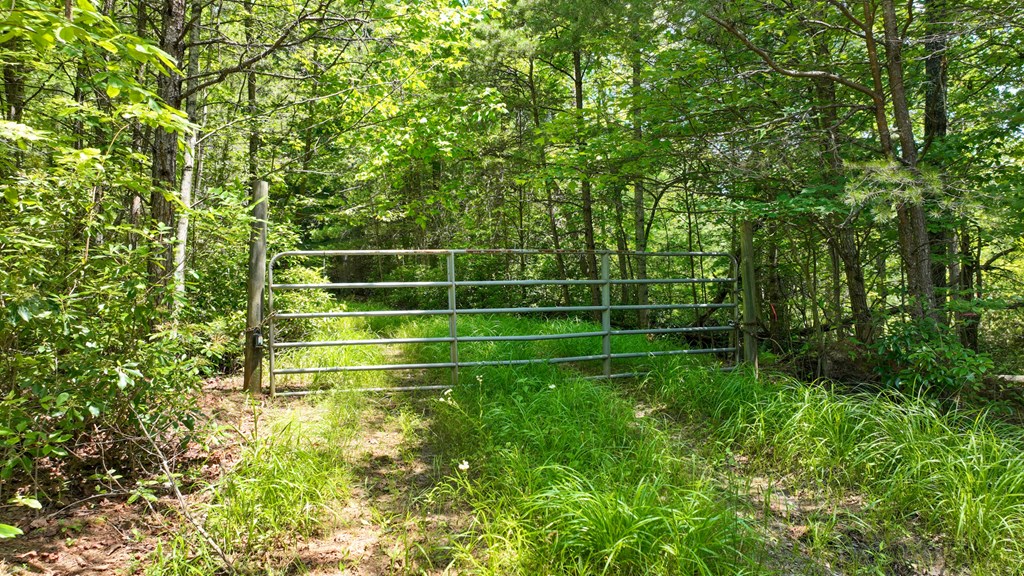 Lot 1 High Knee Road Property Photo 12