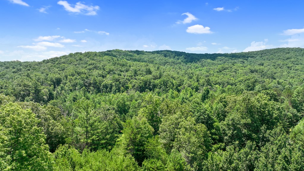 Lot 1 High Knee Road Property Photo 14