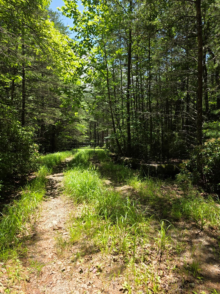 Lot 1 High Knee Road Property Photo 16