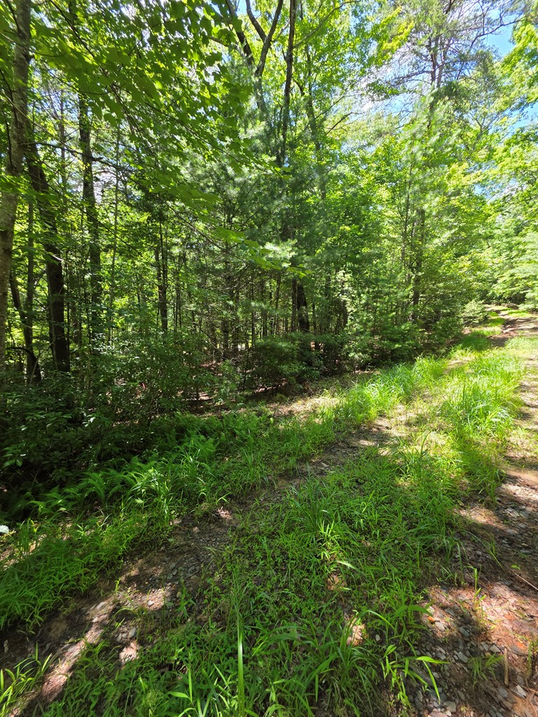 Lot 1 High Knee Road Property Photo 17