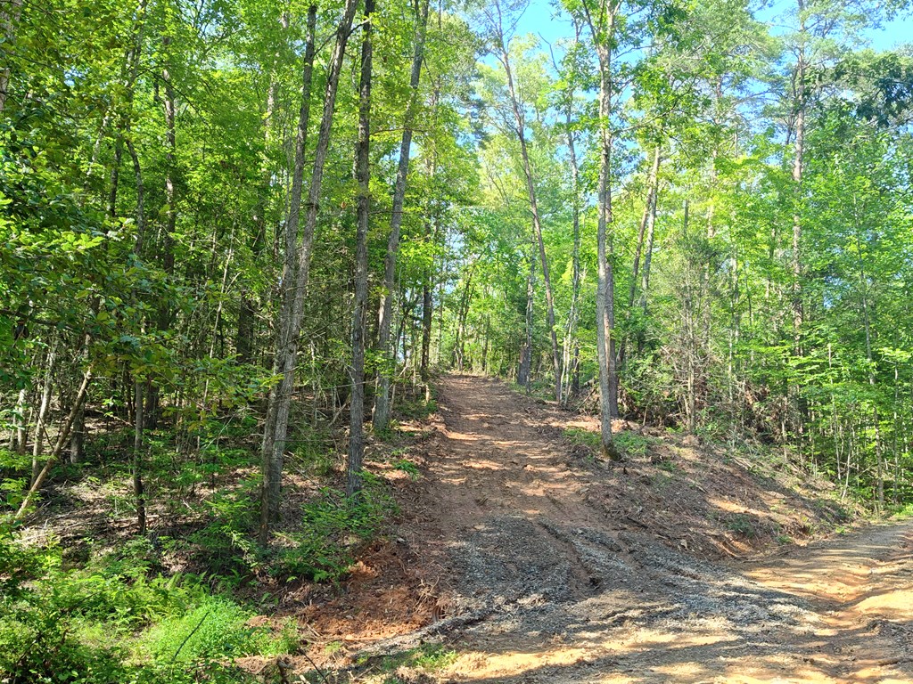 Lot 5 Megan Trace Drive Property Photo 3