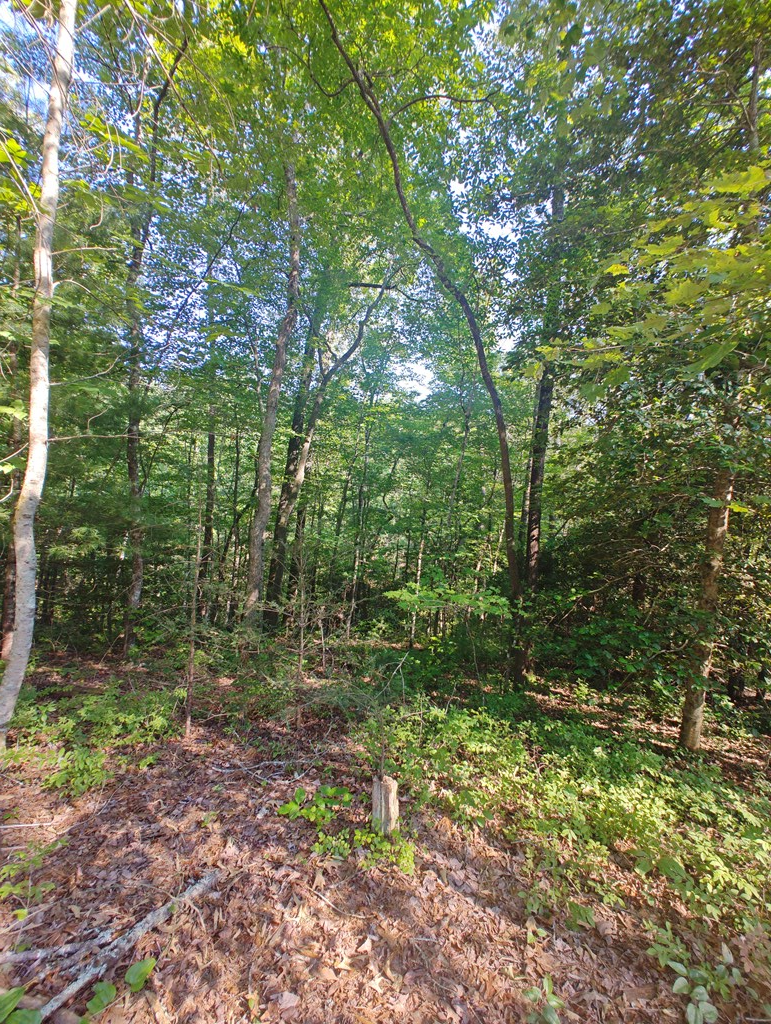 Lot 5 Megan Trace Drive Property Photo 4
