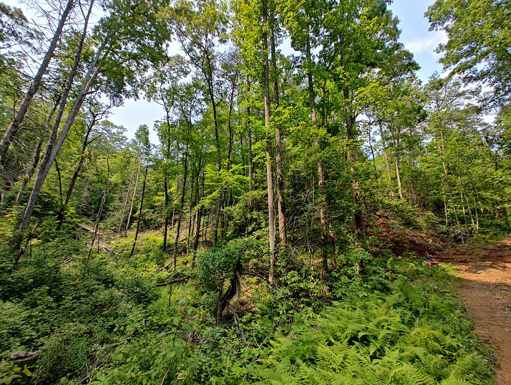 Lot 5 Megan Trace Drive Property Photo 5