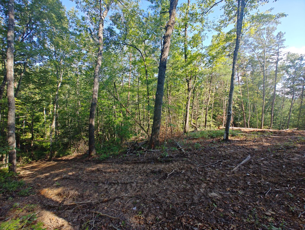 Lot 5 Megan Trace Drive Property Photo 7