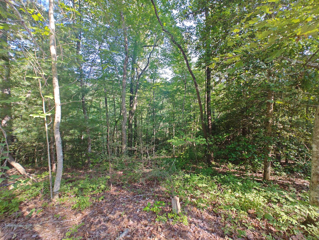 Lot 5 Megan Trace Drive Property Photo 8