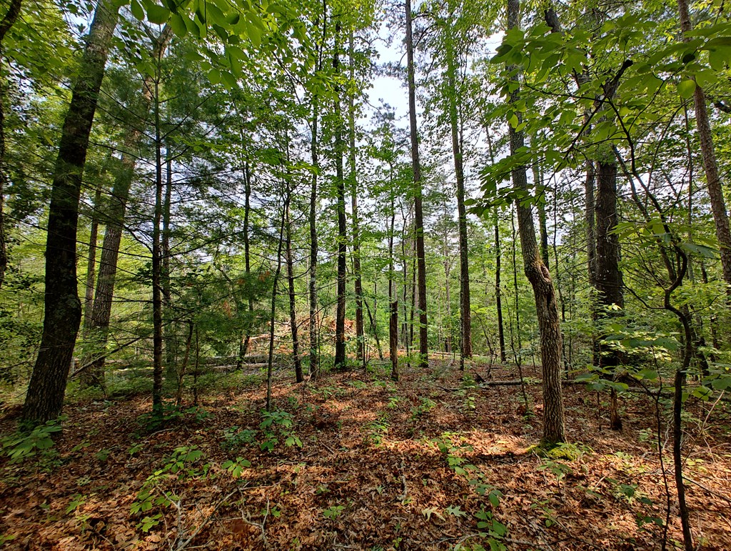 Lot 5 Megan Trace Drive Property Photo 9