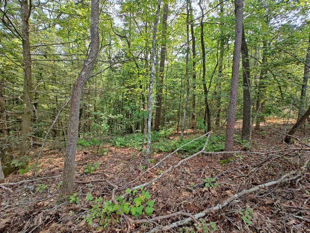 Lot 5 Megan Trace Drive Property Photo 10