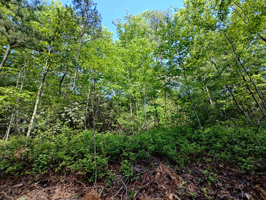 Lot 5 Megan Trace Drive Property Photo 13