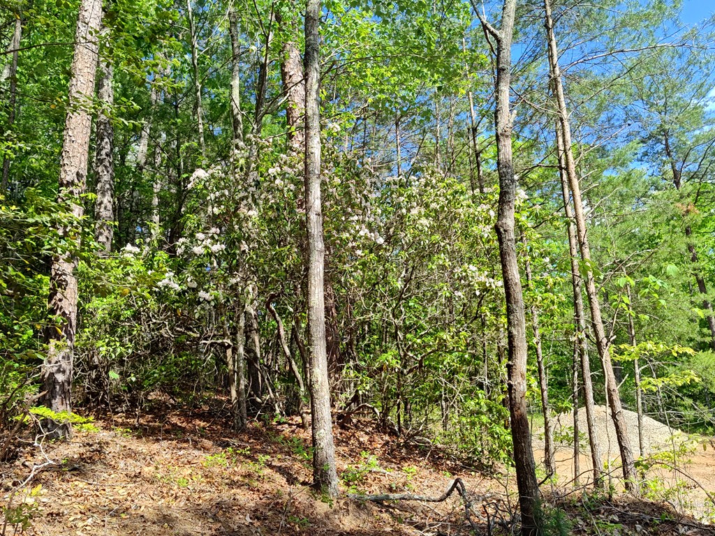 Lot 5 Megan Trace Drive Property Photo 14