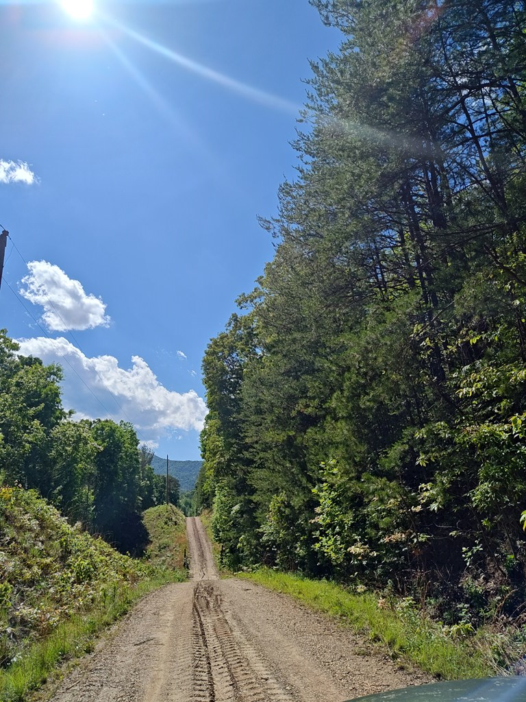 Lot 5 Megan Trace Drive Property Photo 15
