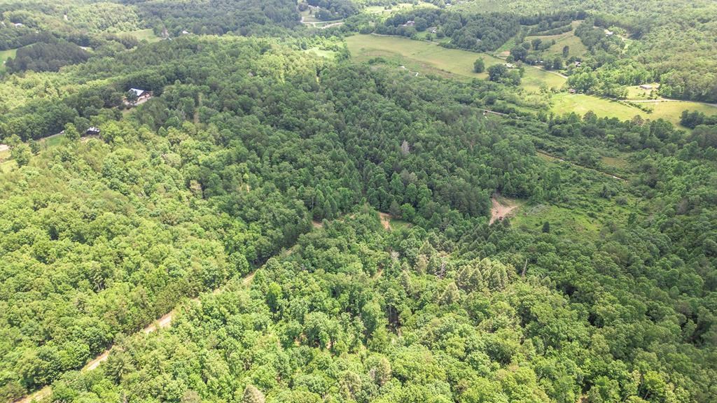 Lot 5 Megan Trace Drive Property Photo 17