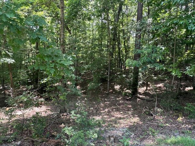 Lot 208 Boulder Creek Road Property Photo 1