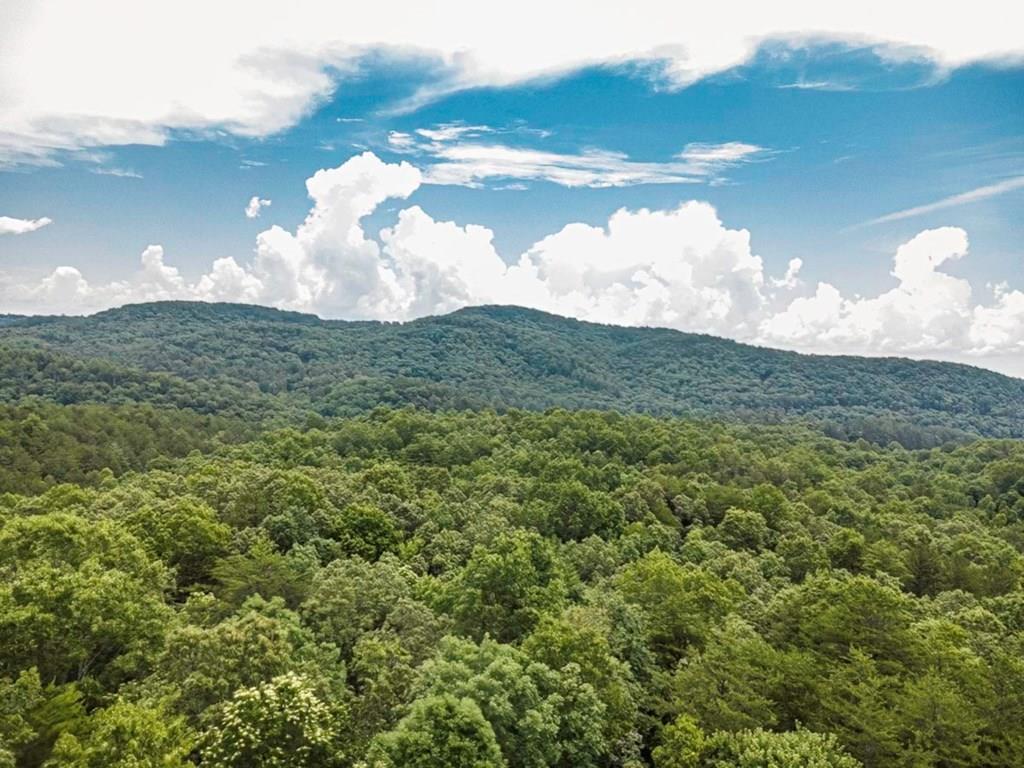 56.46 Ac Cutcane Road Property Photo 1