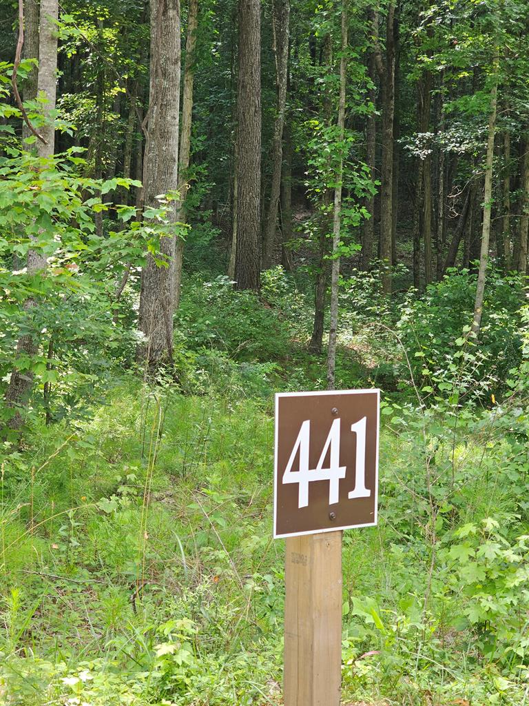 0 Twisted Oak Road Property Photo 1