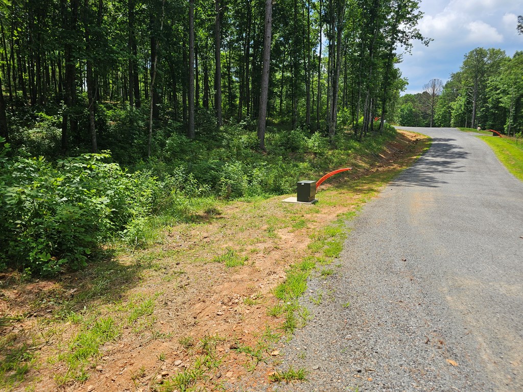 0 Twisted Oak Road Property Photo 18