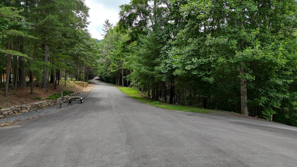 Lot 6&7 Browns Cove Road Property Photo 4