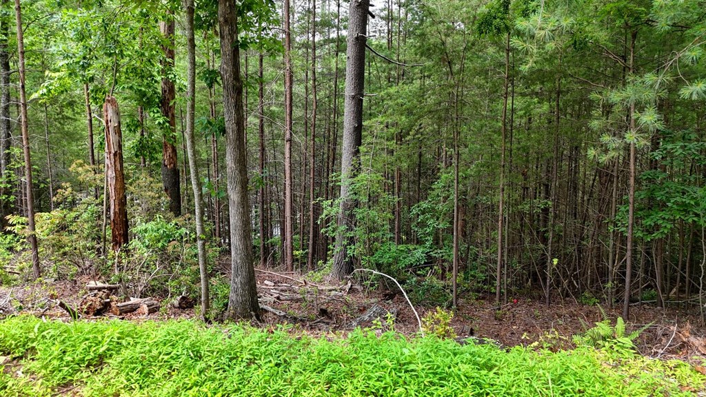 Lot 6&7 Browns Cove Road Property Photo 6