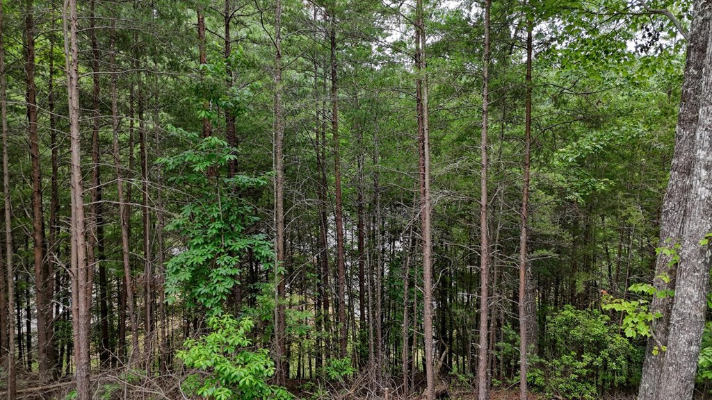 Lot 6&7 Browns Cove Road Property Photo 7