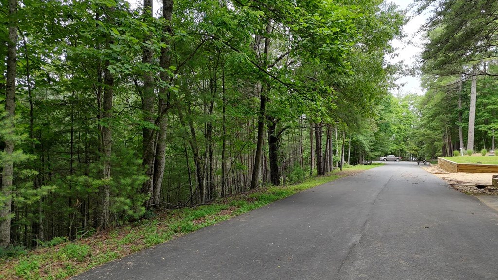 Lot 6&7 Browns Cove Road Property Photo 8