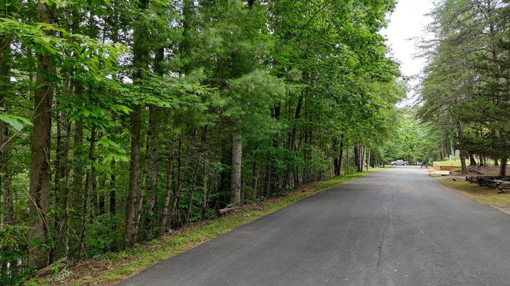 Lot 6&7 Browns Cove Road Property Photo 9