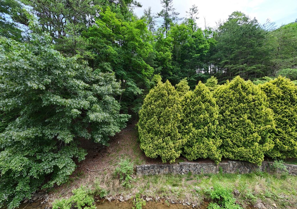Lot 6&7 Browns Cove Road Property Photo 21