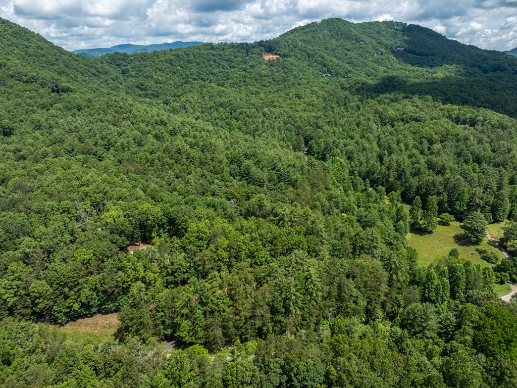 23.77ac Hardscrabble Road Property Photo 6