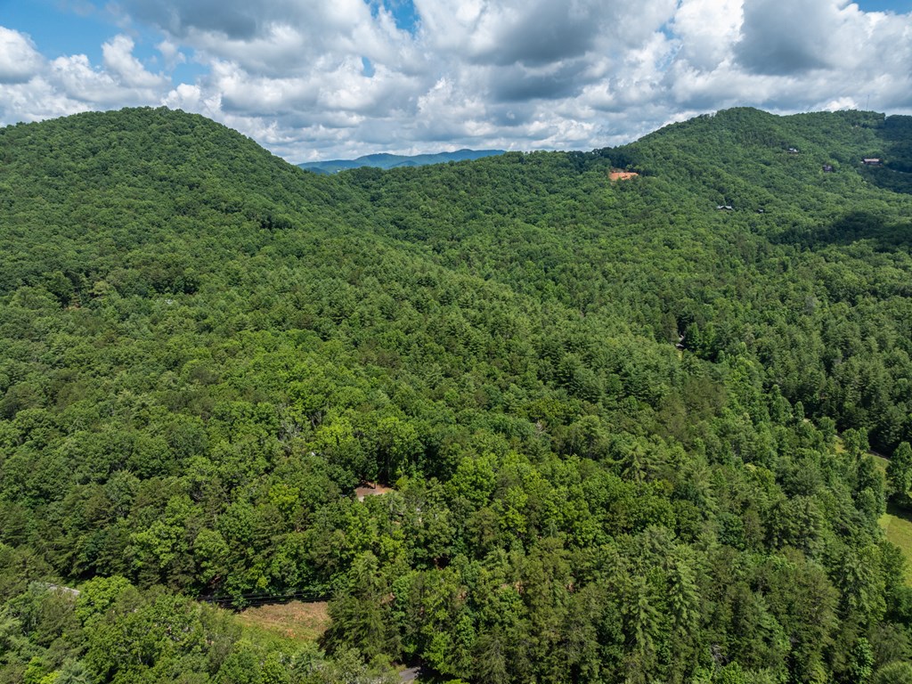 23.77ac Hardscrabble Road Property Photo 7