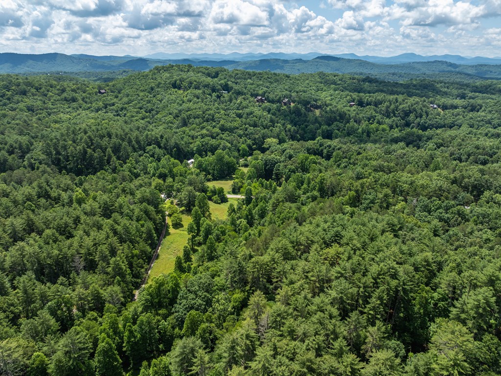 23.77ac Hardscrabble Road Property Photo 8